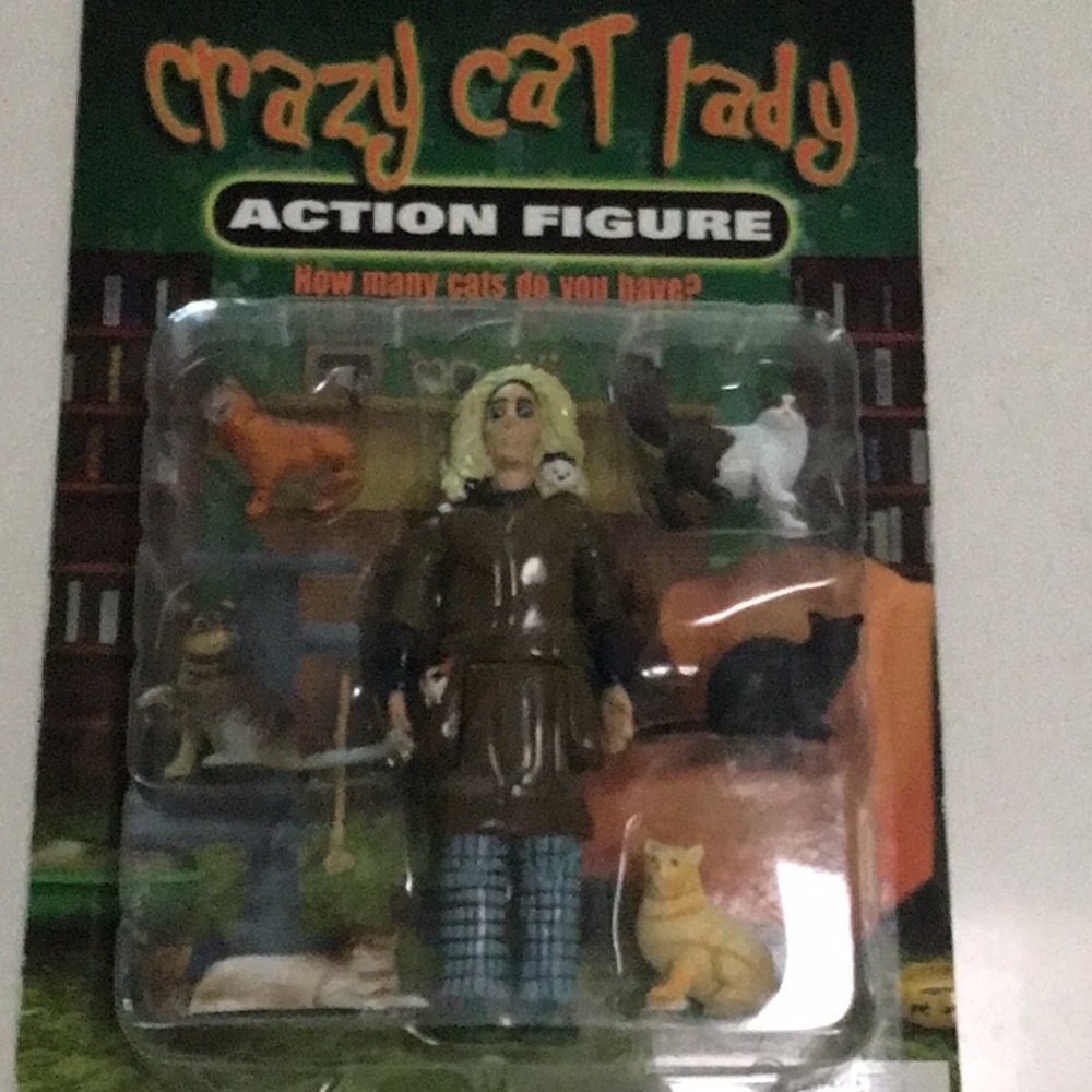 Crazy cat lady action figure